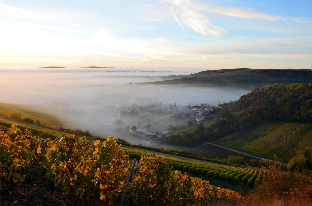 Hotel Restaurant Famille Bourgeois "La Cote Des Monts Damnes" Sancerre Luaran gambar
