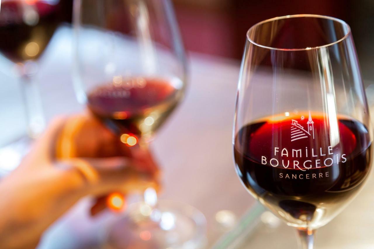 Hotel Restaurant Famille Bourgeois "La Cote Des Monts Damnes" Sancerre Luaran gambar